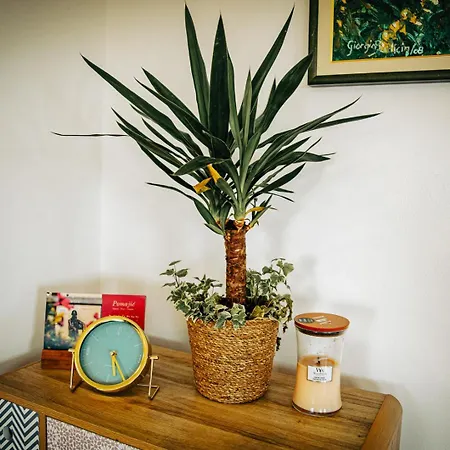El Mar Apartment *
